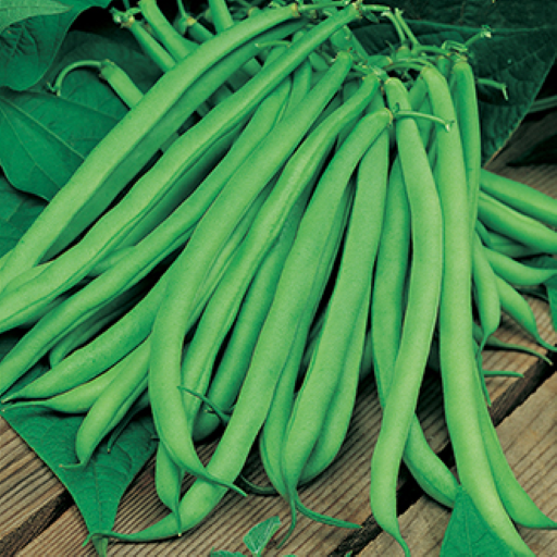Country Value Pea & Bean Seeds
