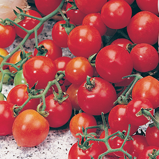 Country Value Tomato Seeds
