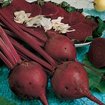 Beetroot Perfect 3