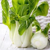 Pak Choi F1 Hanakan