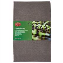 Ambassador Capillary Matting Pk of 5