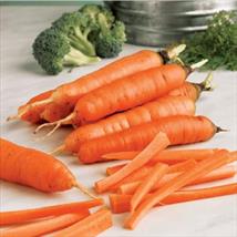 Carrot Early Nantes 5