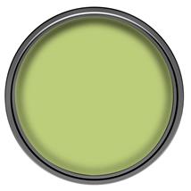 Dulux Emulsion Kiwi Crush 30ml